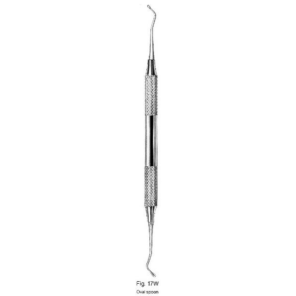 Oval Spoon